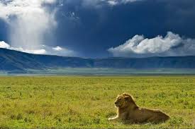 magnificent Ngorongoro Crater